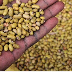 Yellow Beans – 1kg